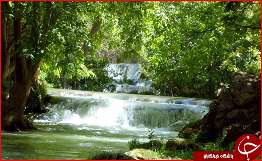 ییییییییییی