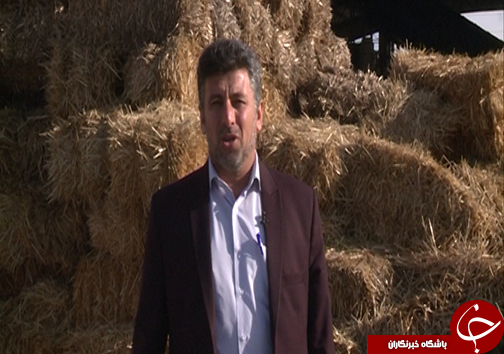 کاه یا کوهی از سرمایه