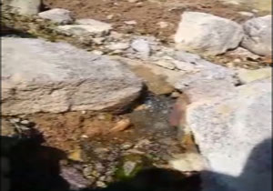 جاری شدن رودخانه فصلی در روستای کجان + فیلم