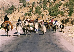 توزیع ۴۰۰ هزار لیتر نفت سفید بین عشایر اندیکا