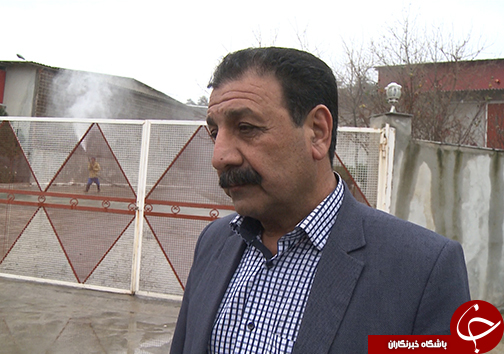 بازگشت آرامش به بازار مرغ گلستان / التهاب کمبود مرغ در استان فروکش کرد