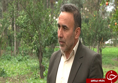 نبود الگوی کشت و قیمت تضمینی مناسب سیب زمینی / سیب زمینی کاران گلستانی با نگرانی به سراغ کشت می&zwnj;روند