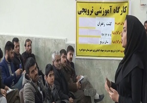 برگزاری دوره آموزشی کشت زعفران در دیواندره