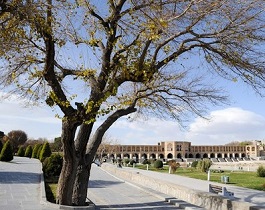 درخواست اداره خدمات شهری شهرداری اصفهان از شهروندان در خانه تکانی‌های پایان سال