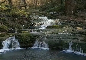 حوضچه زیبای آبشار لاشو در آزادشهر + فیلم