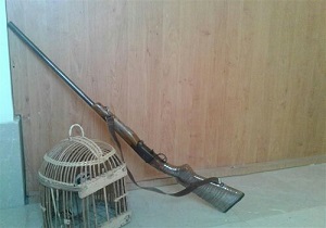 دستگیری یک متخلف درشهرستان سروآباد