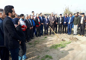 توجه به فرهنگ درختکاری در جامعه