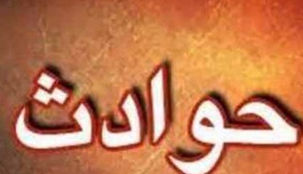 درمان سرطان با خوردن سوسک