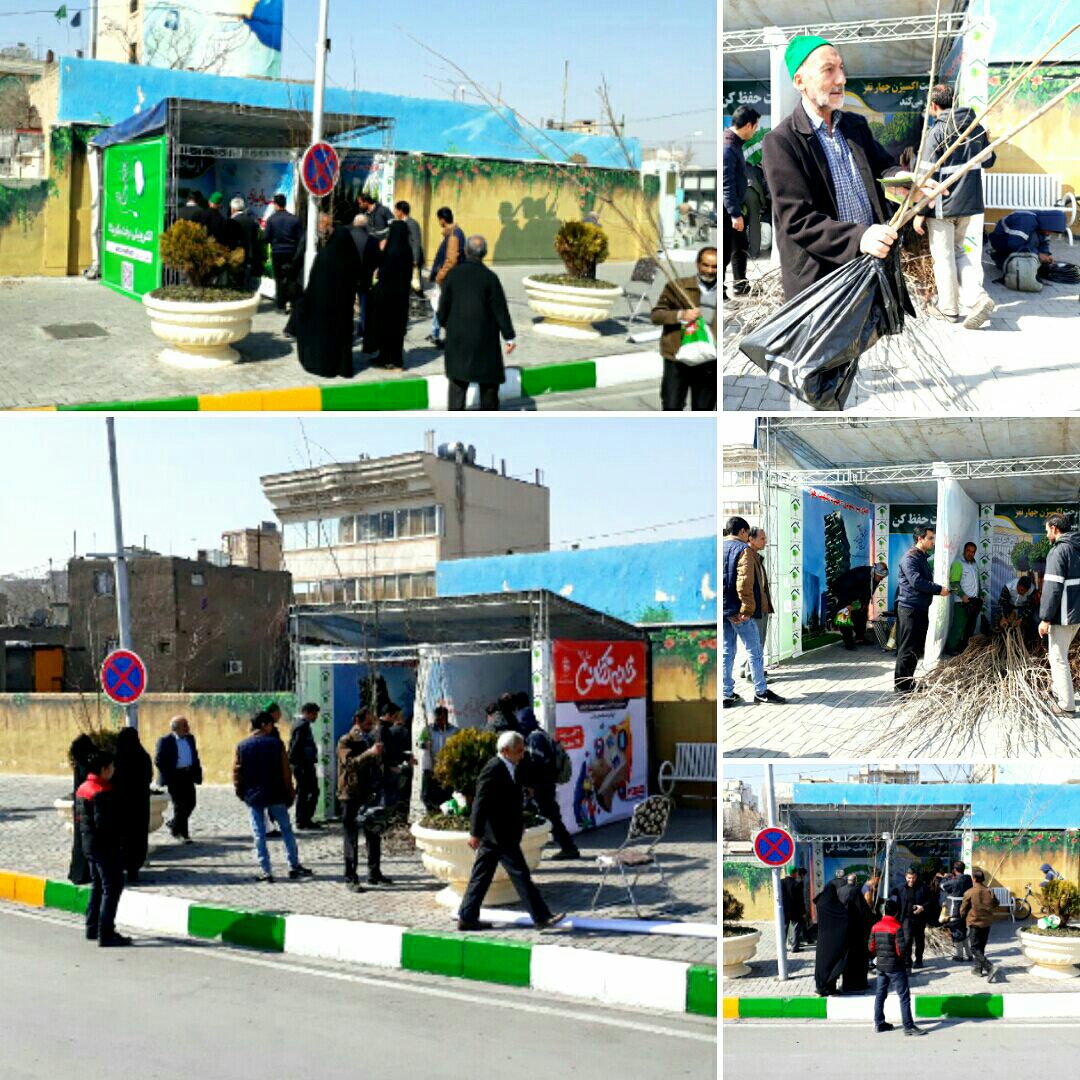 مشارکت همگانی برای احیای محیط زیست شهری در هفته درختکاری