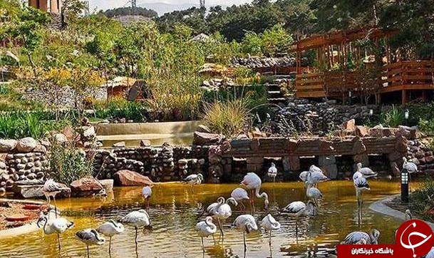 &nbsp;10 مکان دیدنی تهران در سفرهای نوروزی