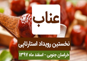 خام فروشی عمده مشکل معرفی نشدن محصولات استراتژیک