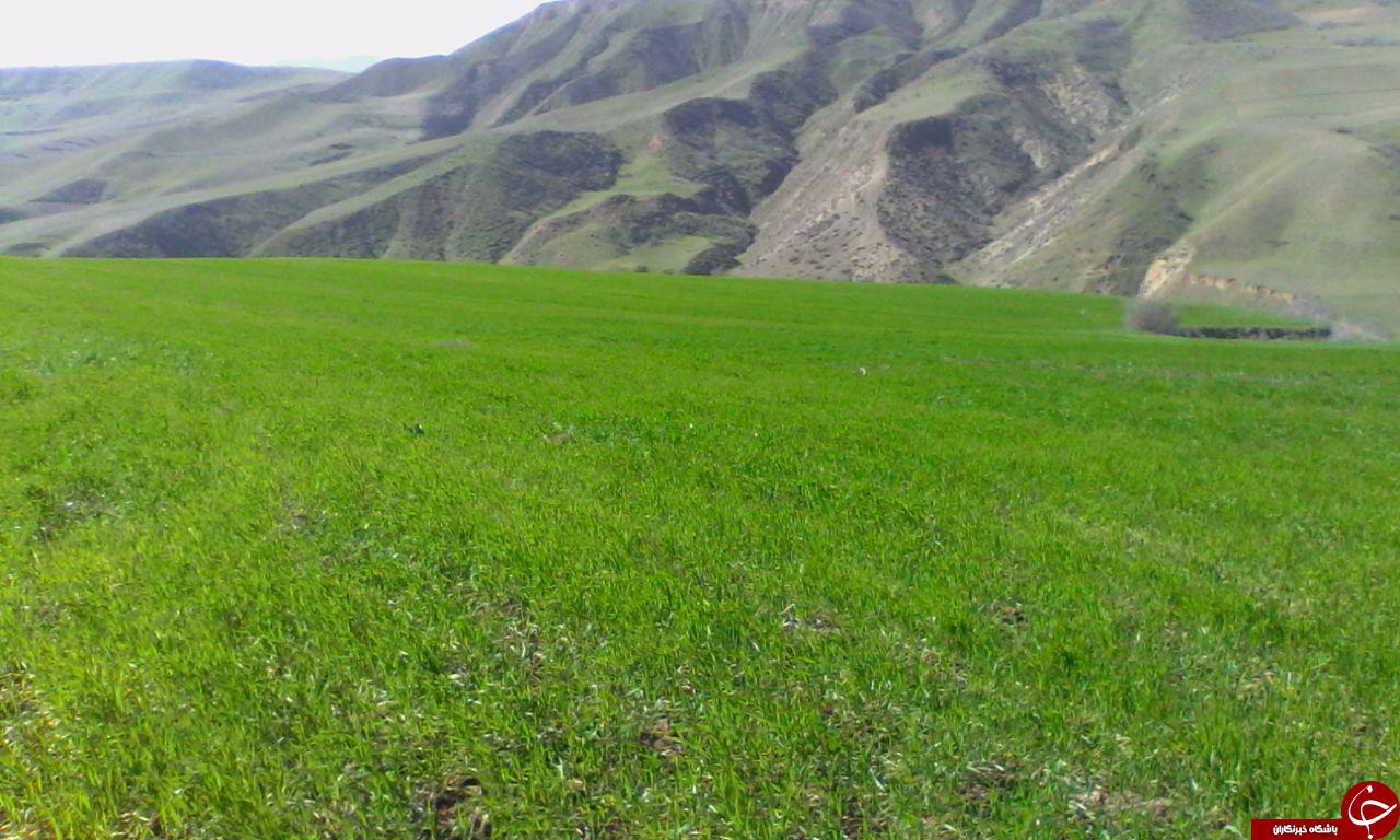 طبیعت بکر و چشم&zwnj;نواز &laquo;زربیل&raquo; در قاب دوربین + تصاویر