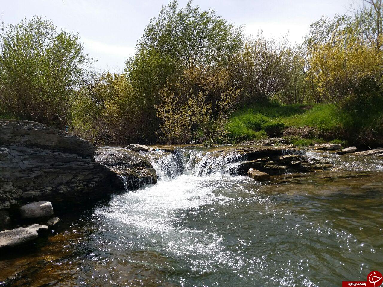 نمایی از طبیعت زیبا و بکر در روستای گنده جین + فیلم و تصاویر نمایی از طبیعت زیبا و بکر در روستای گنده جین + فیلم و تصاویر