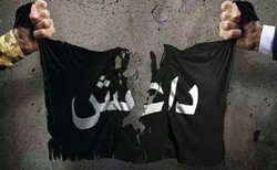 هنرنمایی خلبان در فرود اضطراری جنگنده + فیلم