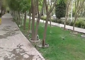 هدر رفت آب با روش غلط آبیاری فضای سبز + فیلم