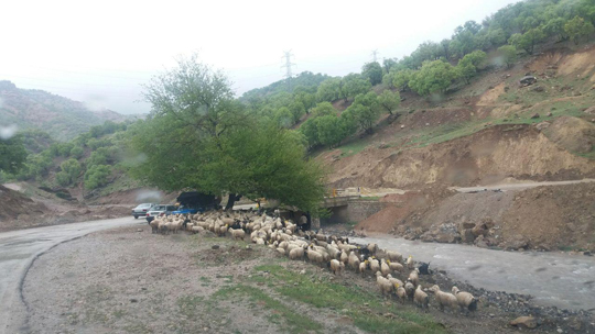 تصاویری از طبیعت بهاری چهارمحال و بختیاری