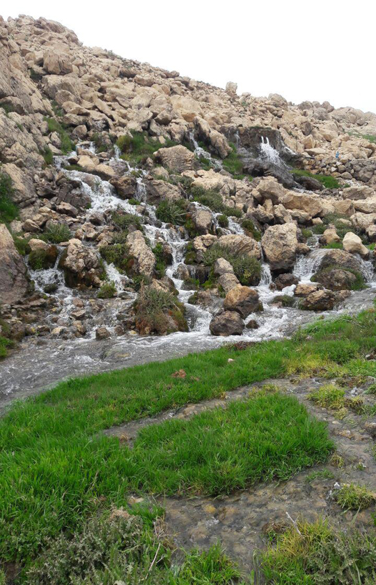 تصاویری از طبیعت بهاری چهارمحال و بختیاری