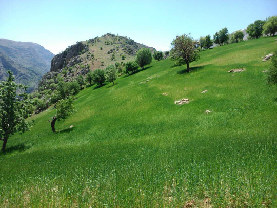 تصاویری از طبیعت بهاری چهارمحال و بختیاری