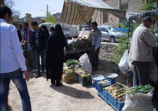خودنمایی گیاهان خوراکی بهاری در سفره مردم