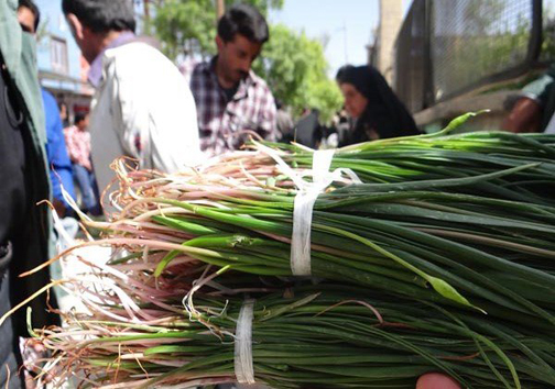 خودنمایی گیاهان خوراکی بهاری در سفره مردم