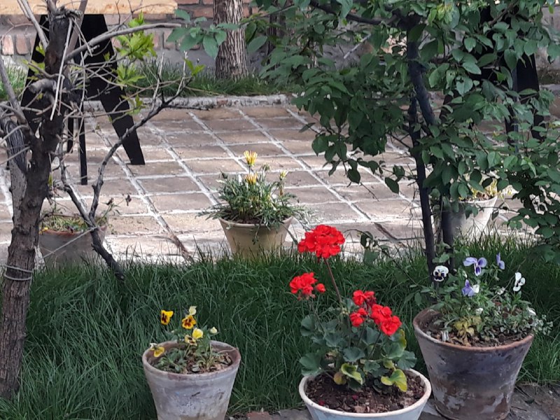 خانه&zwnj;موزه سیمین و جلال در یک نگاه+تصاویر/امید است که خانه موزه سیمین و جلال مثل اسمش، خانه موزه بماند
