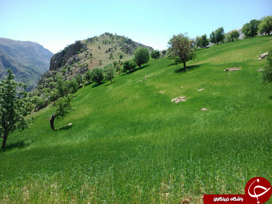 تصاویری از آبشار زردلیمه در چهارمحال و بختیاری