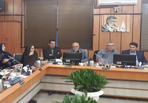 مدیر کل میراث فرهنگی: به تاریخ و هویت شهر قزوین دهن کجی نکنید