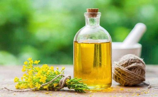 ویتامین مفید برای پوست/ خطرات مواد غذایی پرچرب صنعتی/ نوشیدنی مناسب برای ورزش/ این خوراکی ها را در تابستان نخورید ویتامین مفید برای پوست/ خطرات مواد غذایی پرچرب صنعتی/ نوشیدنی مناسب برای ورزش/ این خوراکی ها را در تابستان نخورید