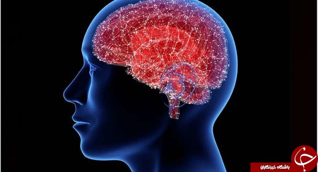 تجمع لیپید نشانه&zwnj;ای برای بیماری پارکینسون است