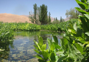 پیش بینی وضعیت هوای چهارمحال و بختیاری