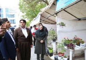 راه اندازی طرح پیاده راه جوان در سنندج