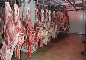 دلیلی بر گران فروشی نرخ گوشت در خرده فروشی ها نیست/ نرخ هر کیلو بره شیری 20 هزارتومان