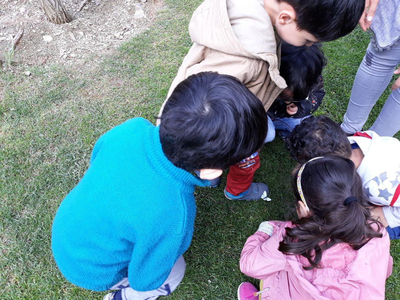 ایجاد فرصت تجربه آزادانه طبیعت برای کودکان تهرانی در سطح مناطق 22 گانه