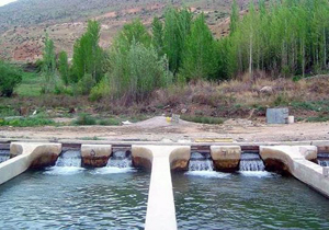 کاهش ۲۵ درصدی ماهی ریزی در شیلات چهارمحال و بختیاری