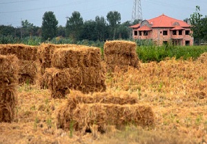 ممنوع بودن تغییر کاربری زمین‌های کشاورزی