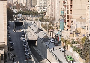 علت خشک شدن درختان خیابان اسفندیار مشخص نیست