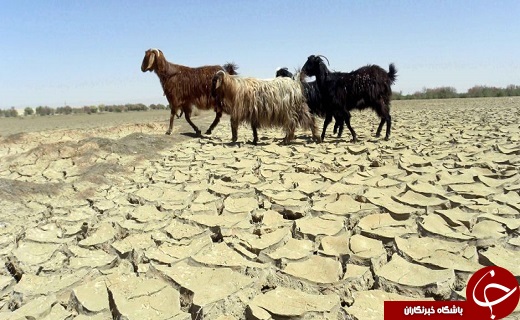 زنگ خطر خشکسالی در استان یزد