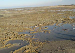 مرگ آرام دریای آرام گلوگاه