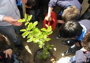 ارائه آموزش های محیط زیستی به کودکان