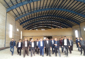 دولت امسال برای اشتغال زایی روستائیان ۱۲ هزار میلیارد تومان تسهیلات بانکی پرداخت خواهد کرد