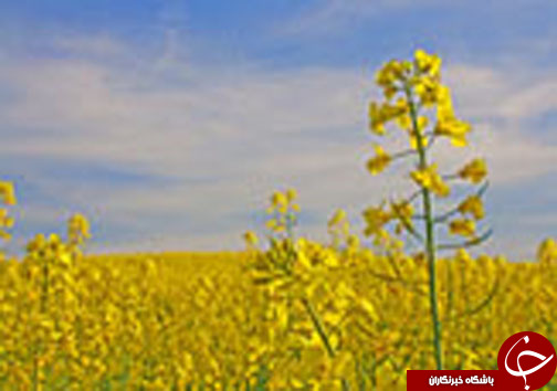 نگاهی گذرا به مهمترین رویداد&zwnj;های پنج شنبه ۱۳ اردیبهشت ماه در مازندران