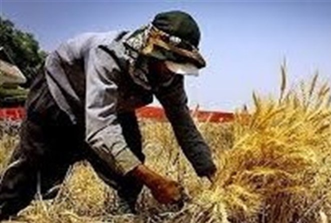 ۲۵ طرح اشتغالزا در تنگستان بوشهر تصویب شد