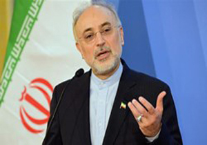دولت استکباری آمریکا به‌دنبال توسعه لیبرال دموکراسی است/ نمی‌خواهیم دیگران برای ما تصمیم بگیرند