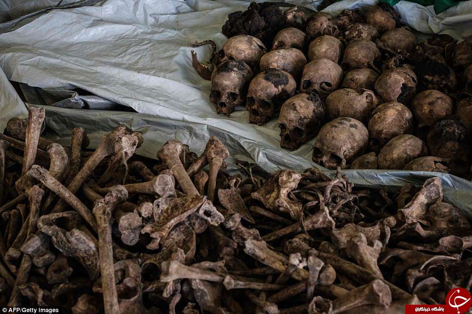 کشف گورهای جمعی با 207 اسکلت انسان در رواندا+تصاویر