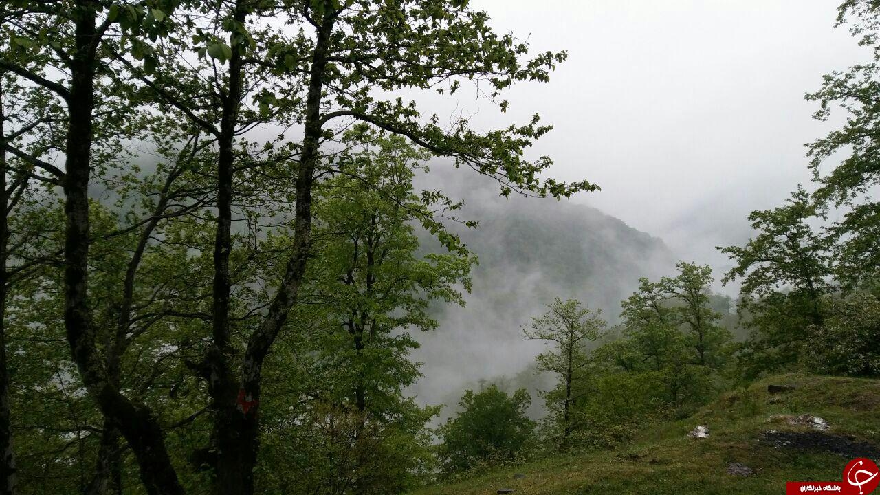 تصاویری از طبیعت دوست&zwnj;داشتنی در روستای امام