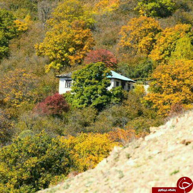 تصاویری از طبیعت دوست&zwnj;داشتنی در روستای امام
