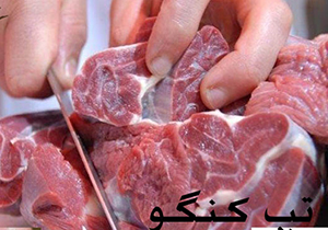 ابتلا به تب کریمه کنگو در فارس فوتی نداشته است