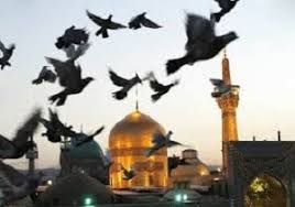 40 اثر به جشنواره کبوتر حرم در سمنان ارسال شد