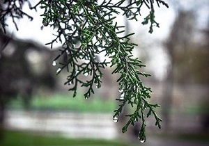 آسمان استان قزوین بارانی می شود