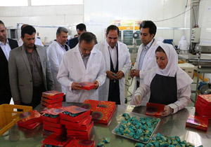 استاندار کرمان از چند واحد صنعتی بازدید کرد
